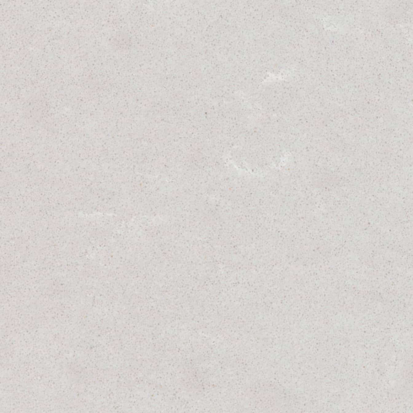 Fossil Nacre Dettaglio