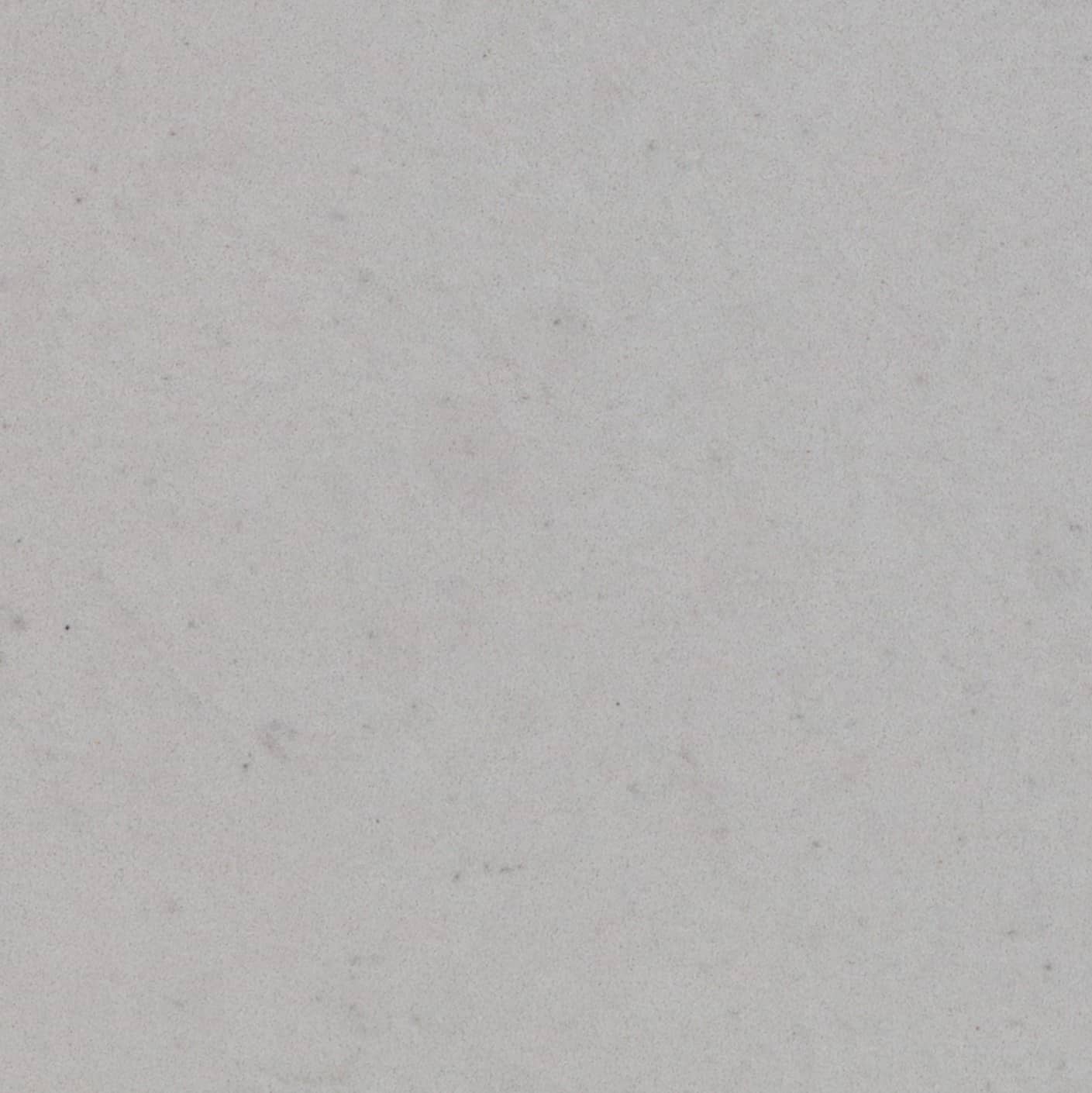 Fossil Seashell Dettaglio